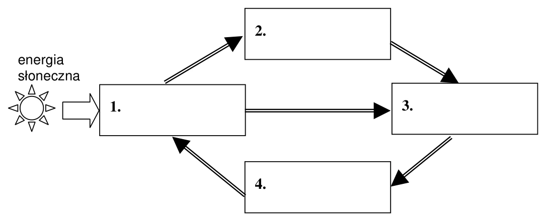 Schemat obiegu materii w przyrodzie
