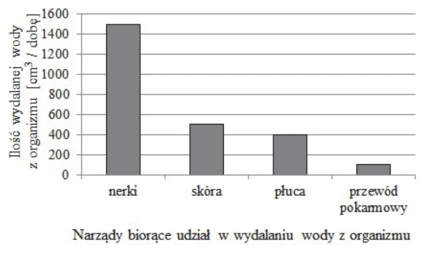 Wykres strat wody przez organizm człowieka